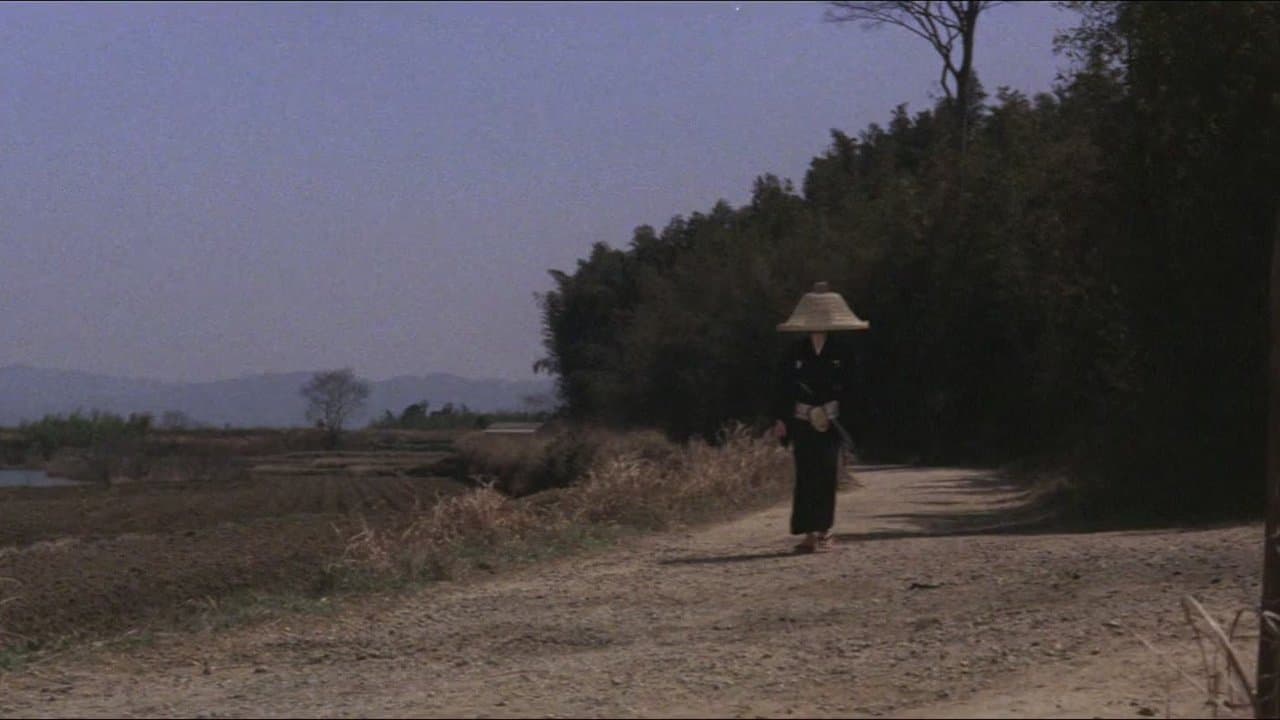 眠狂四郎魔性劍の背景画像