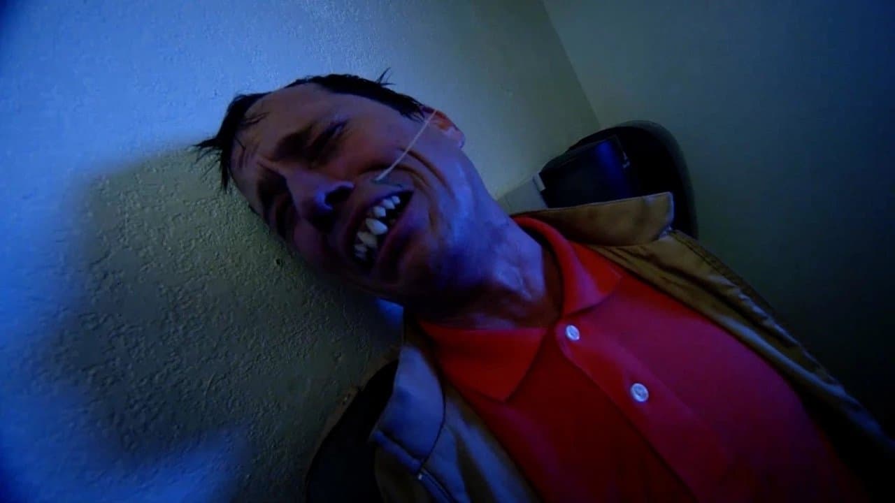 Rottentailの背景画像