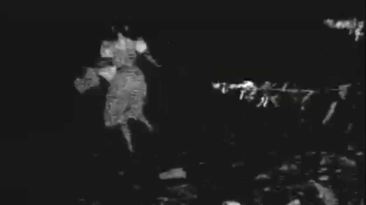 The Oz Witch Projectの背景画像