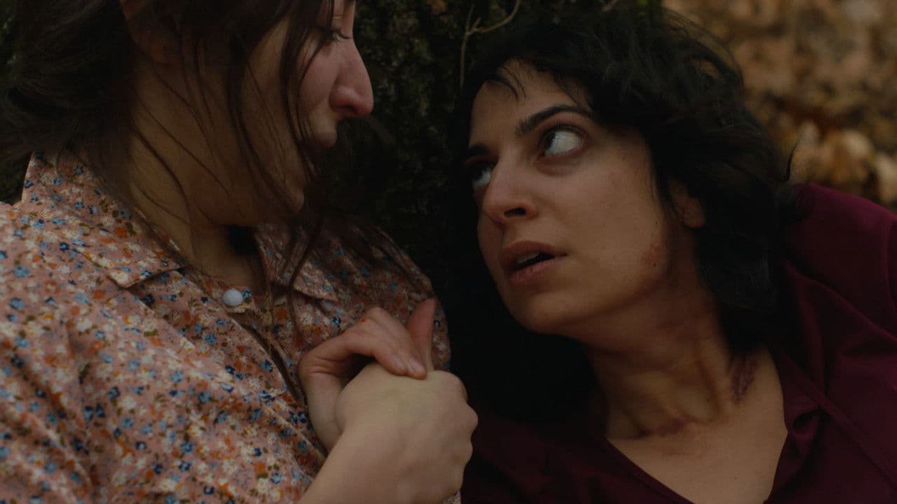 The Red Shoeの背景画像