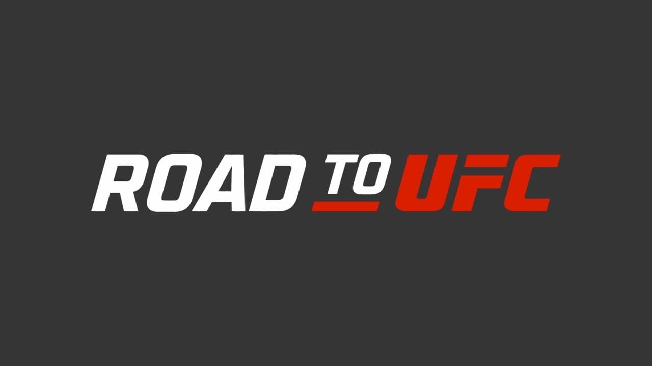 Road to UFCの背景画像