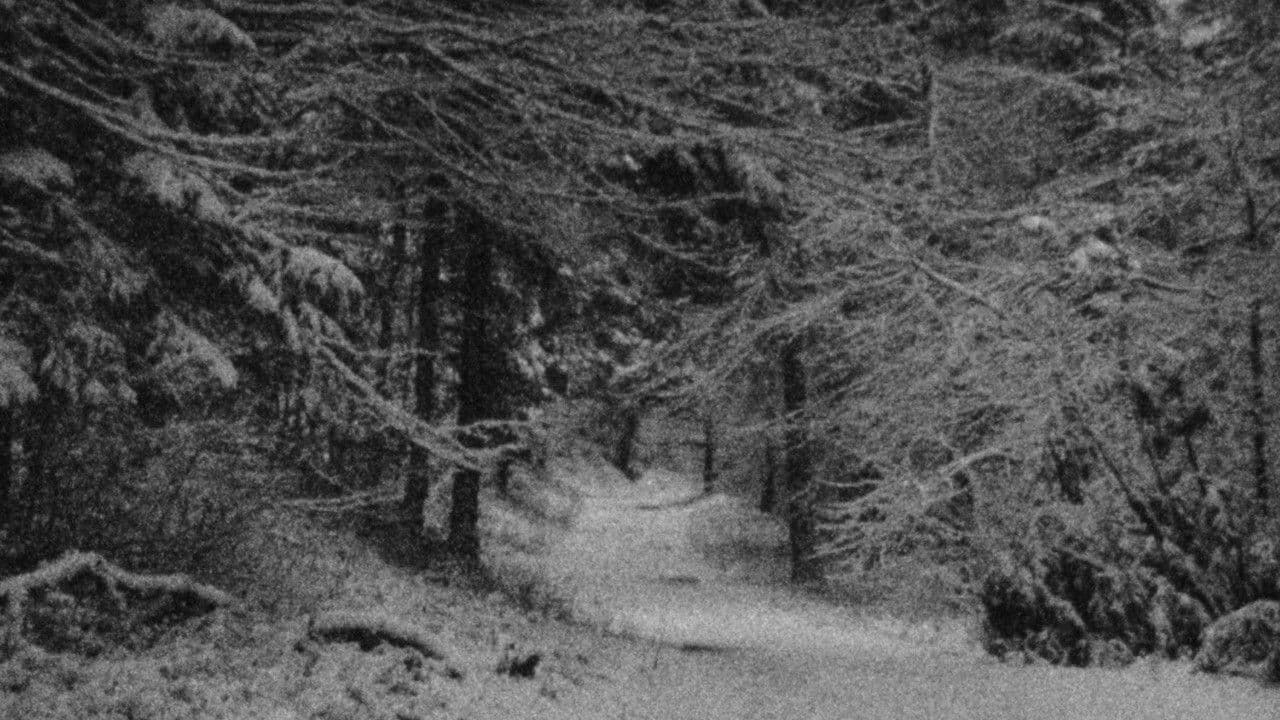 Signal GPS Perduの背景画像