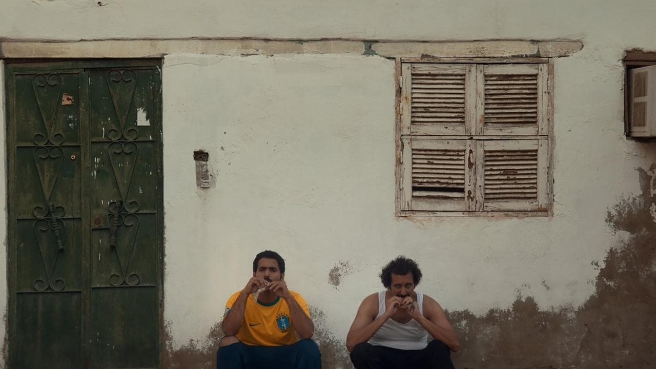 الهامور ح. عの背景画像