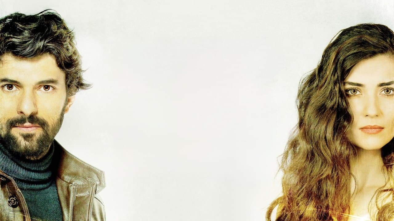 ブラック・マネー・ラブの背景画像