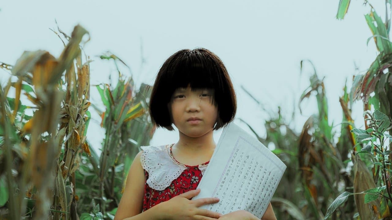 黑風箏の背景画像