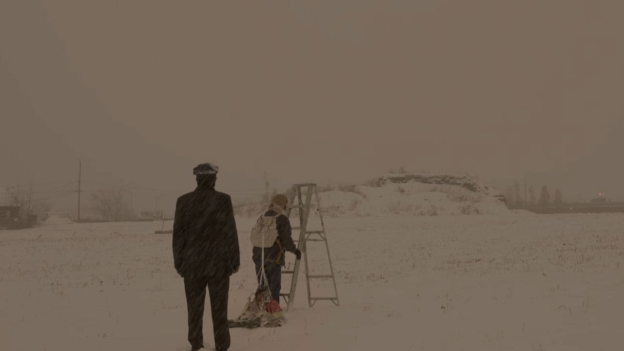 Le Parachuteの背景画像