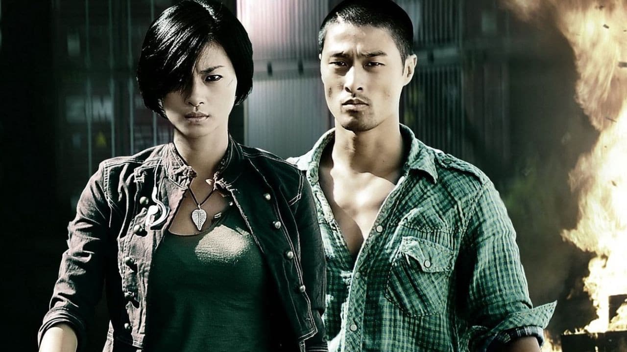 Bẫy Rồngの背景画像