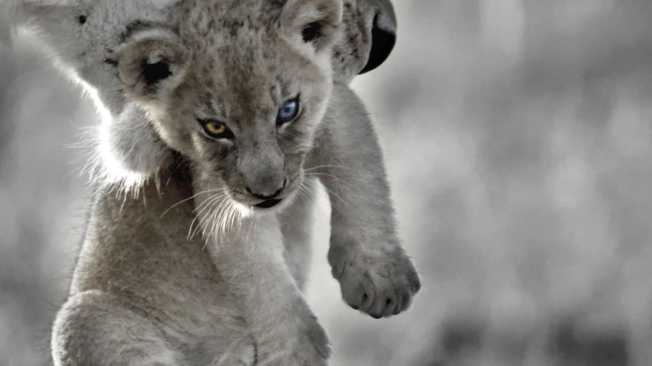 Le Roi Bâtardの背景画像