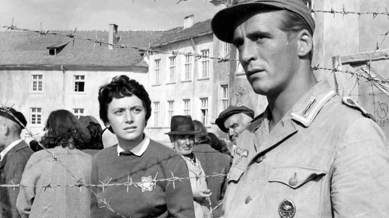 Sterneの背景画像