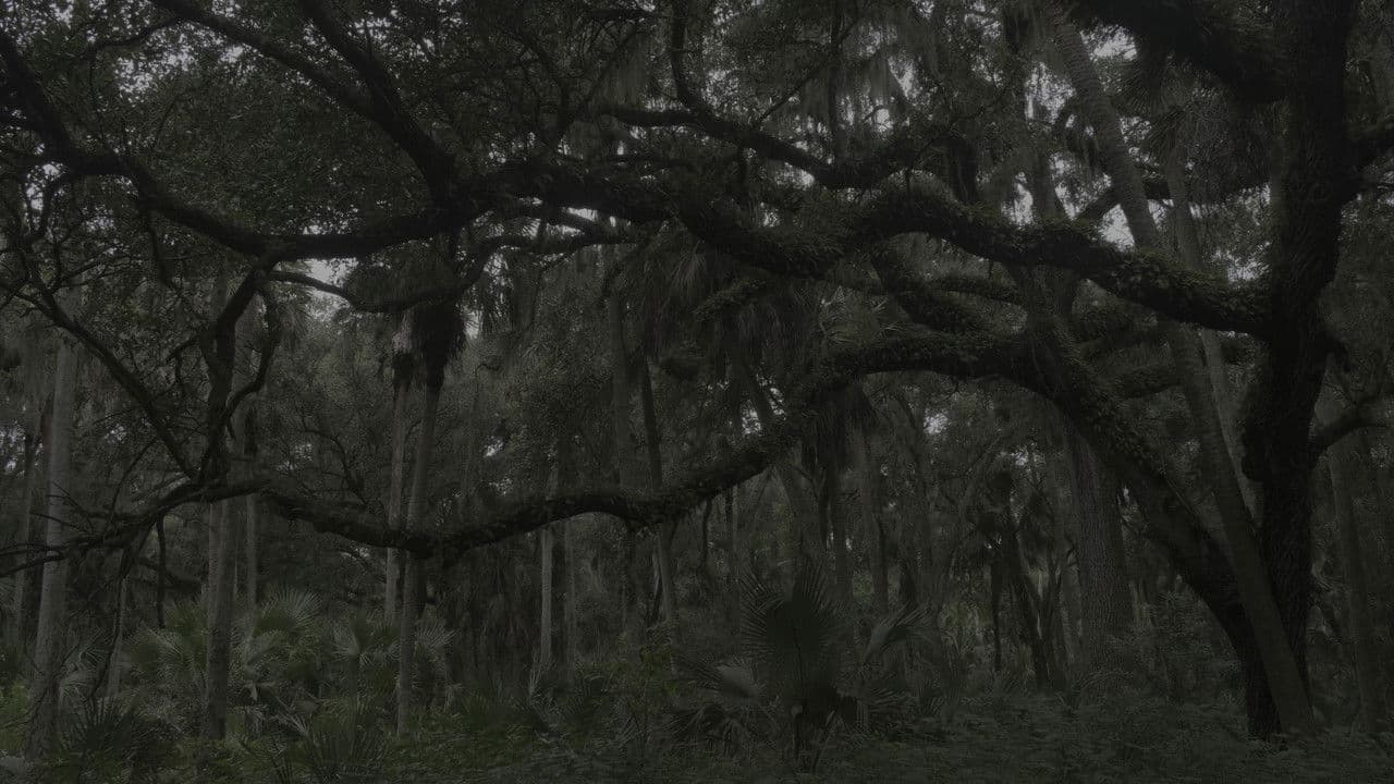 Nomotopowellの背景画像