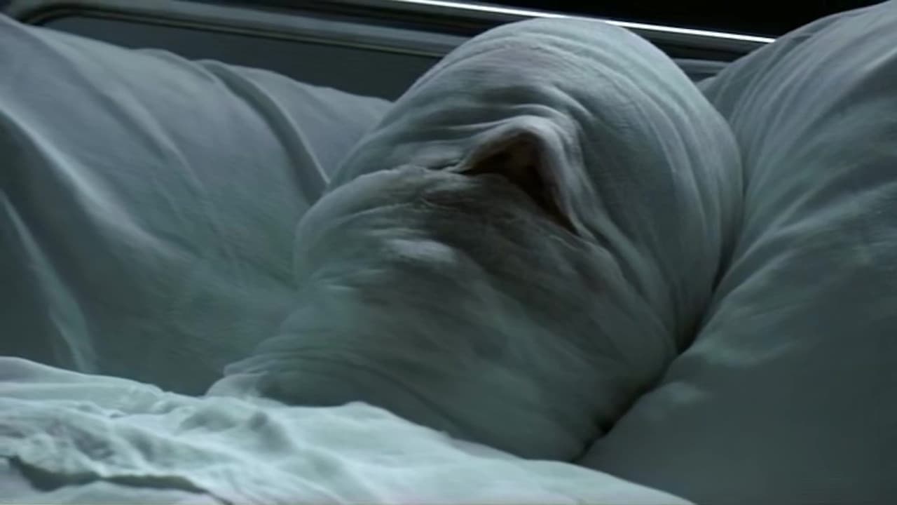 Dealerの背景画像