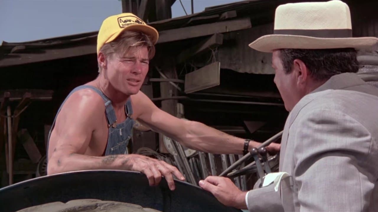 恐怖の暴力自警団の背景画像