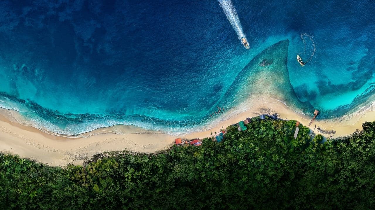 Great White Serial Killer: Sea of Bloodの背景画像