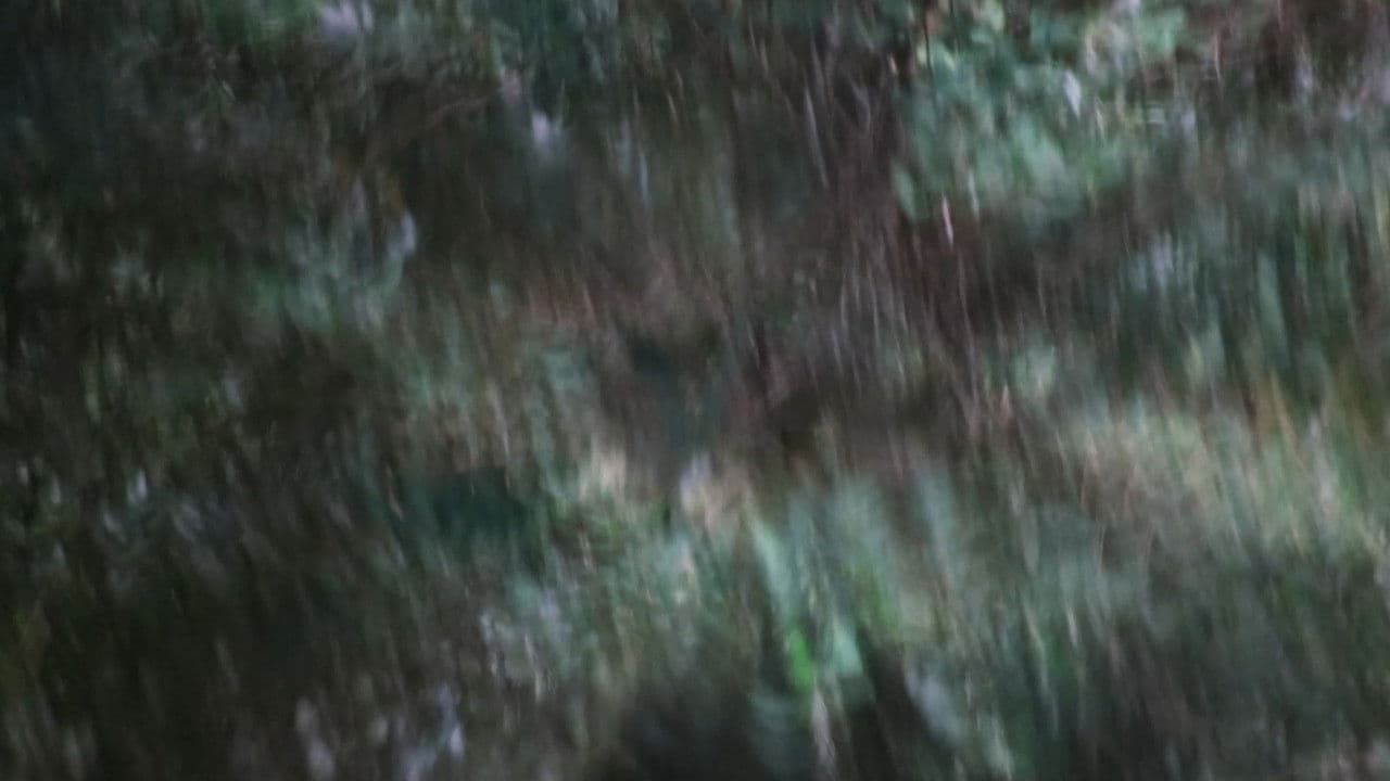 Arma de Luzの背景画像