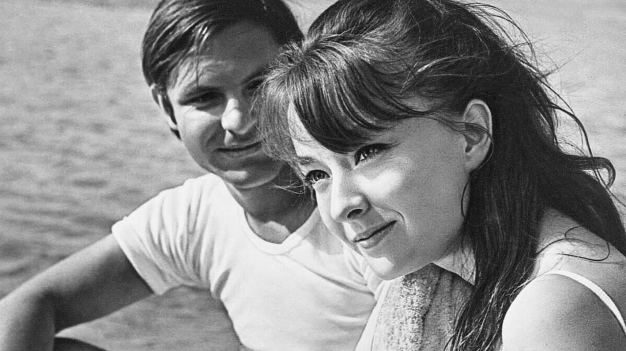 Влюблённыеの背景画像