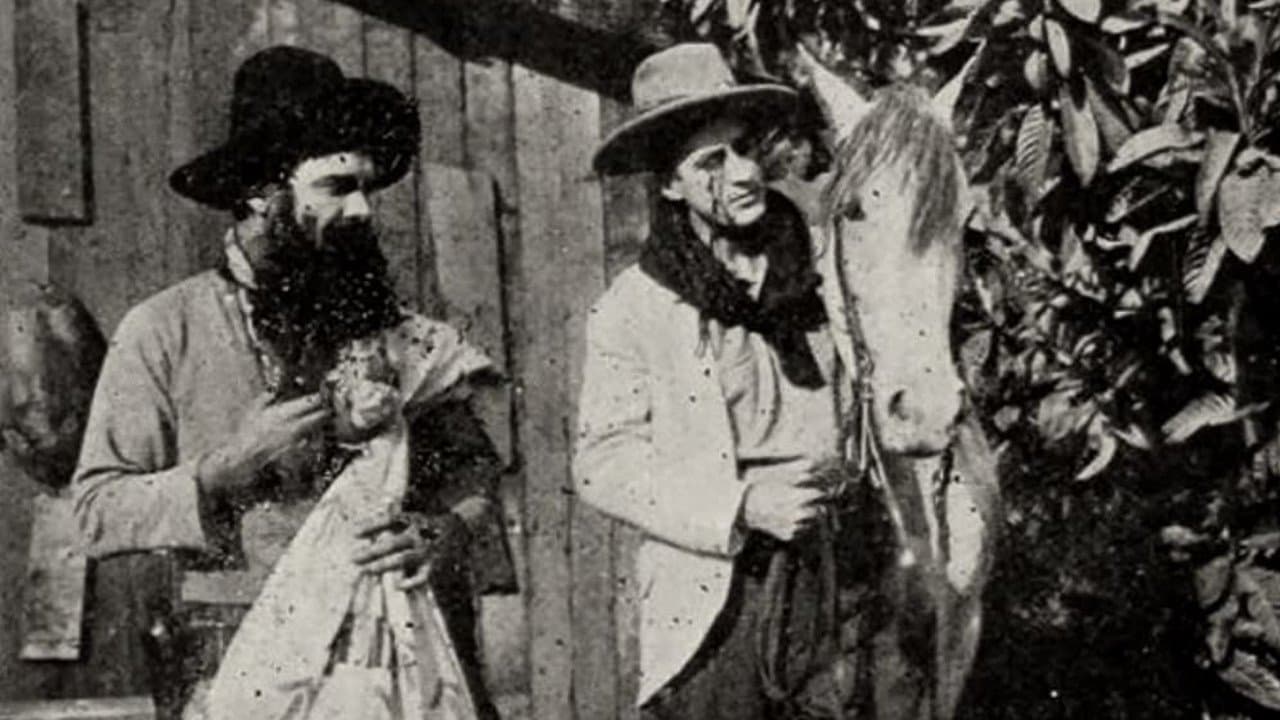 Stingareeの背景画像