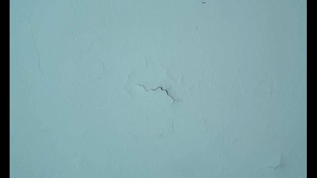 Murielの背景画像