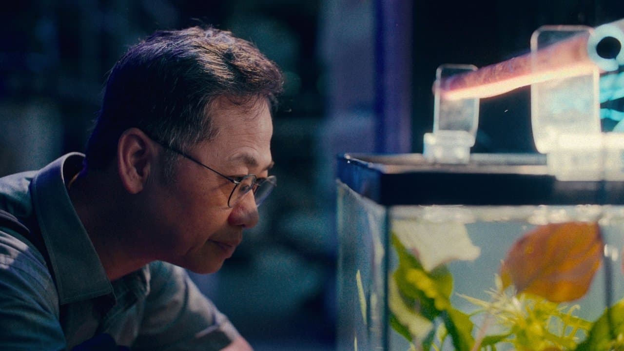 Onderstroom - 暗流の背景画像