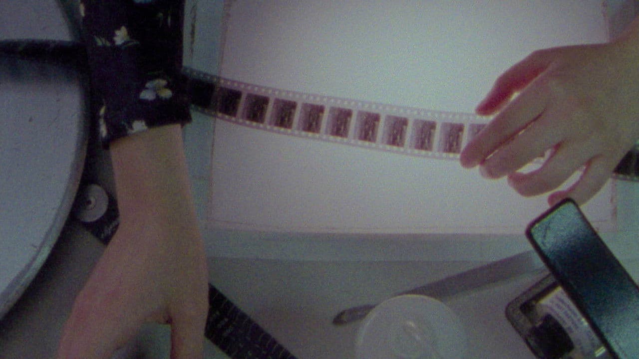 Herbariaの背景画像