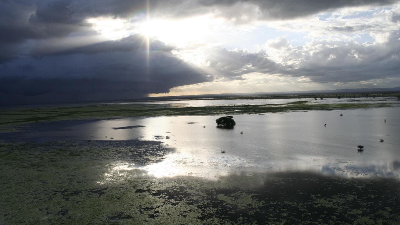 Africa's Lost Edenの背景画像