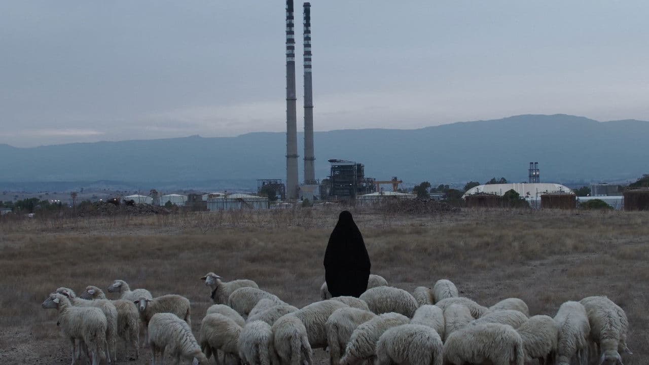 Anime Galleggiantiの背景画像