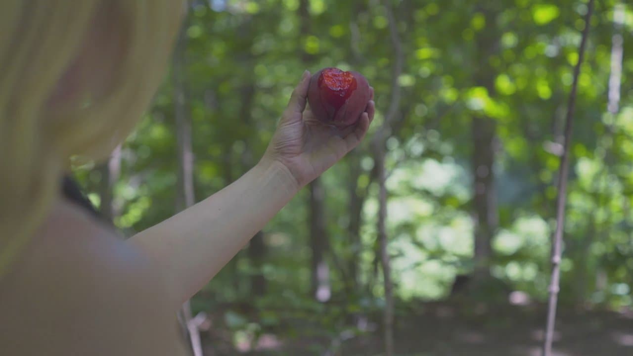 Peachesの背景画像