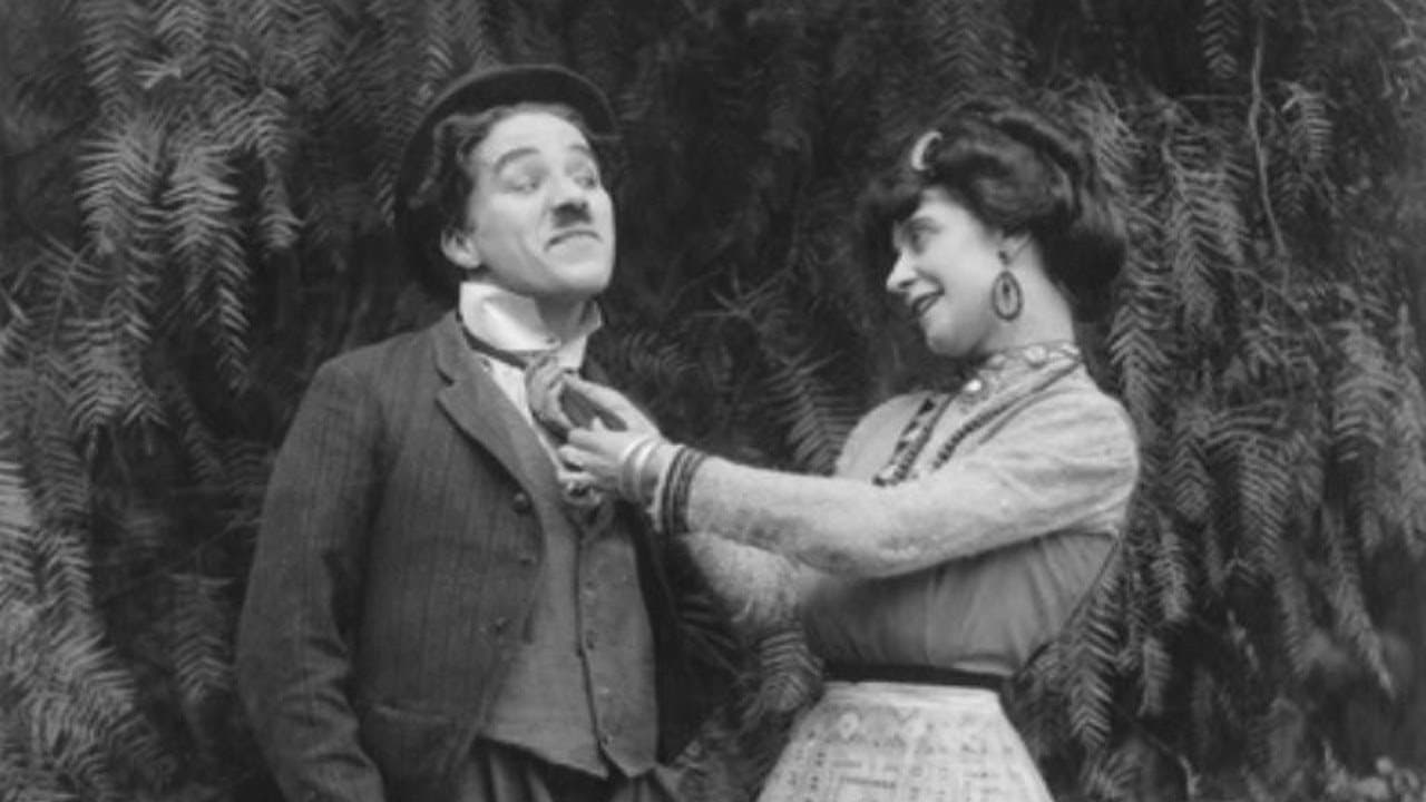 The Star Boarderの背景画像