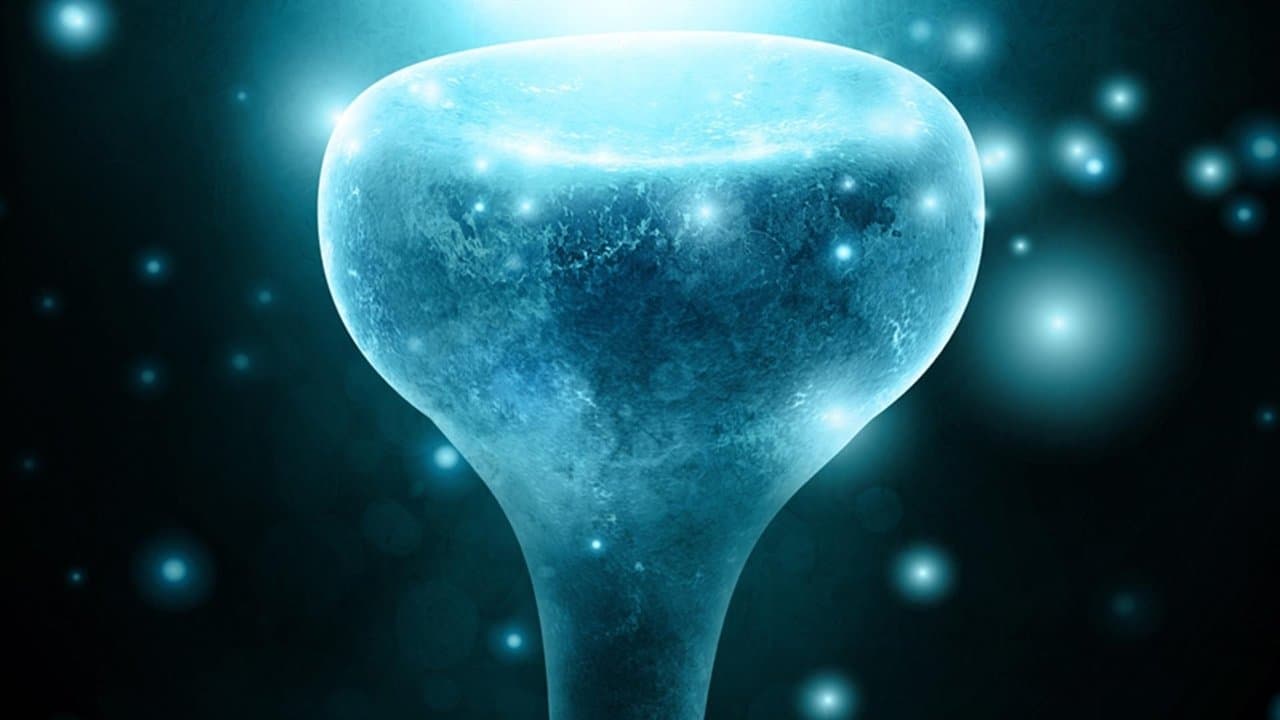 Neurons to Nirvanaの背景画像