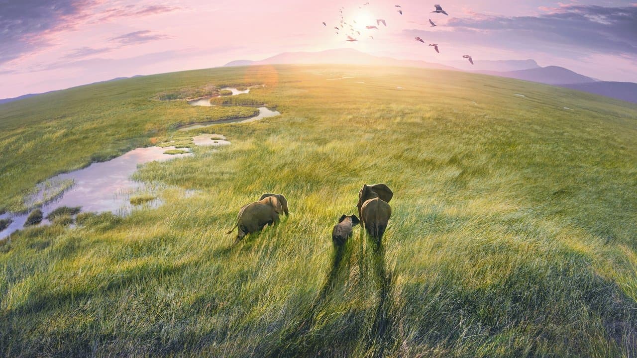 Planet Earth IIIの背景画像