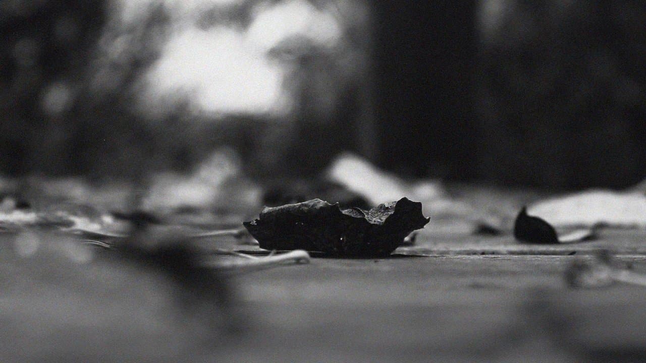 The pulse of everything from where we arose and departedの背景画像