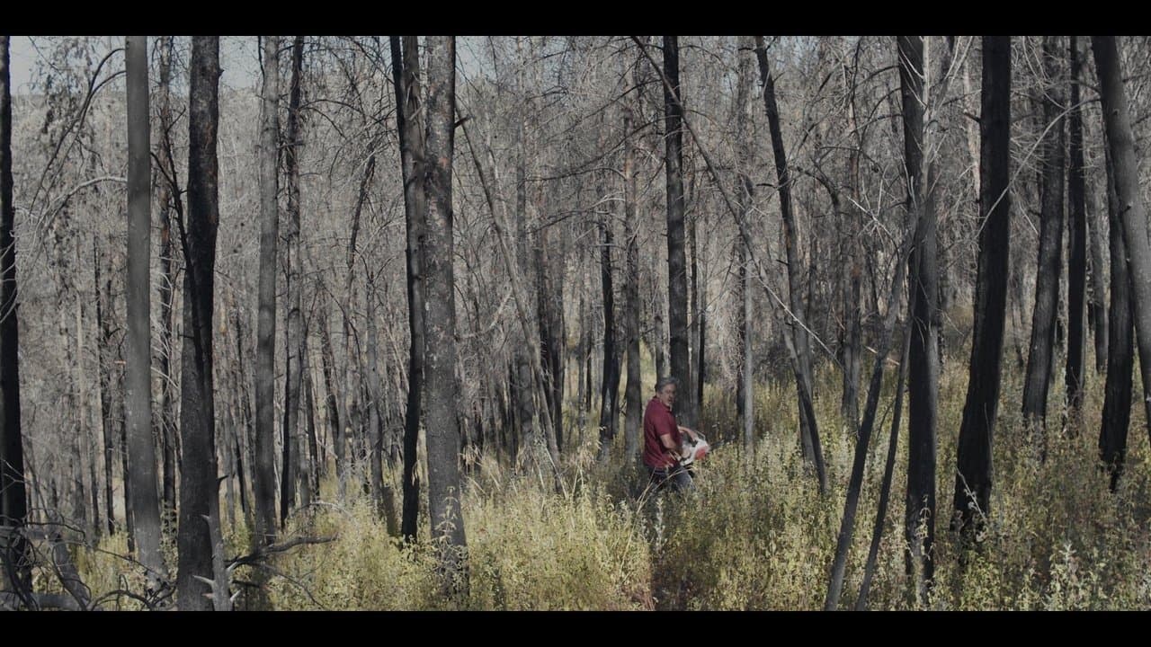 סוקצסיהの背景画像