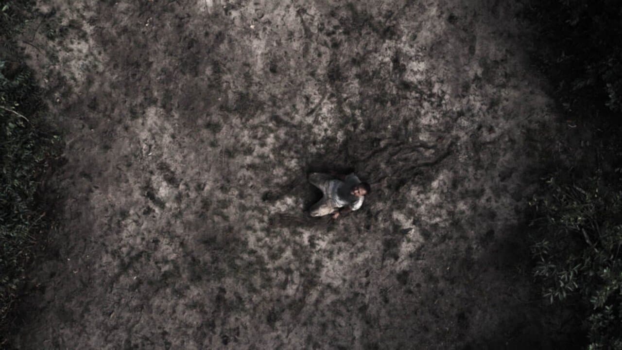 Urubúの背景画像