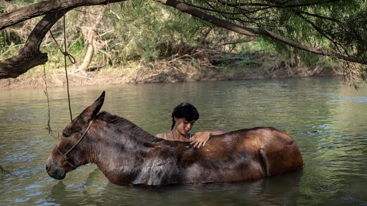La arrieraの背景画像