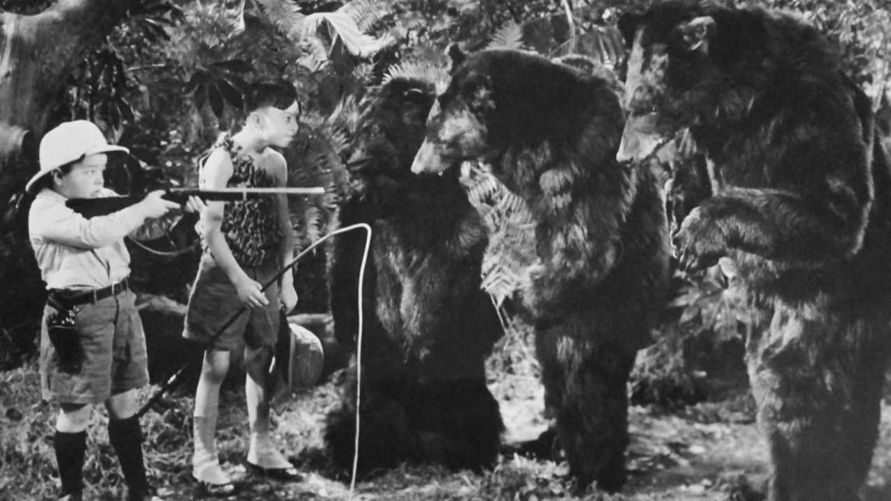 Bear Factsの背景画像