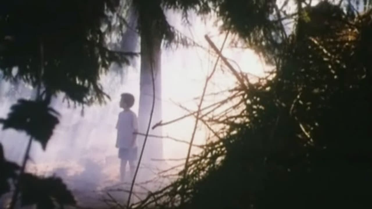 Svampeの背景画像