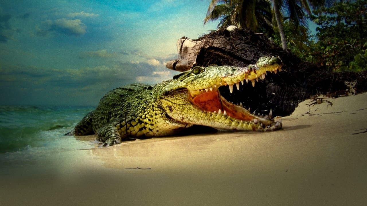 Life and Death in Paradise: Crocs of the Caribbeanの背景画像
