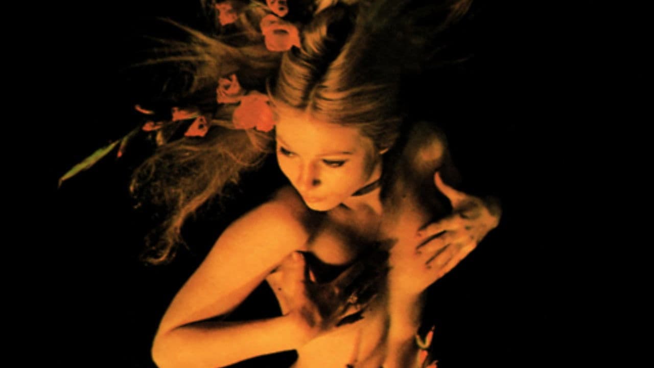 Le favolose notti d'orienteの背景画像