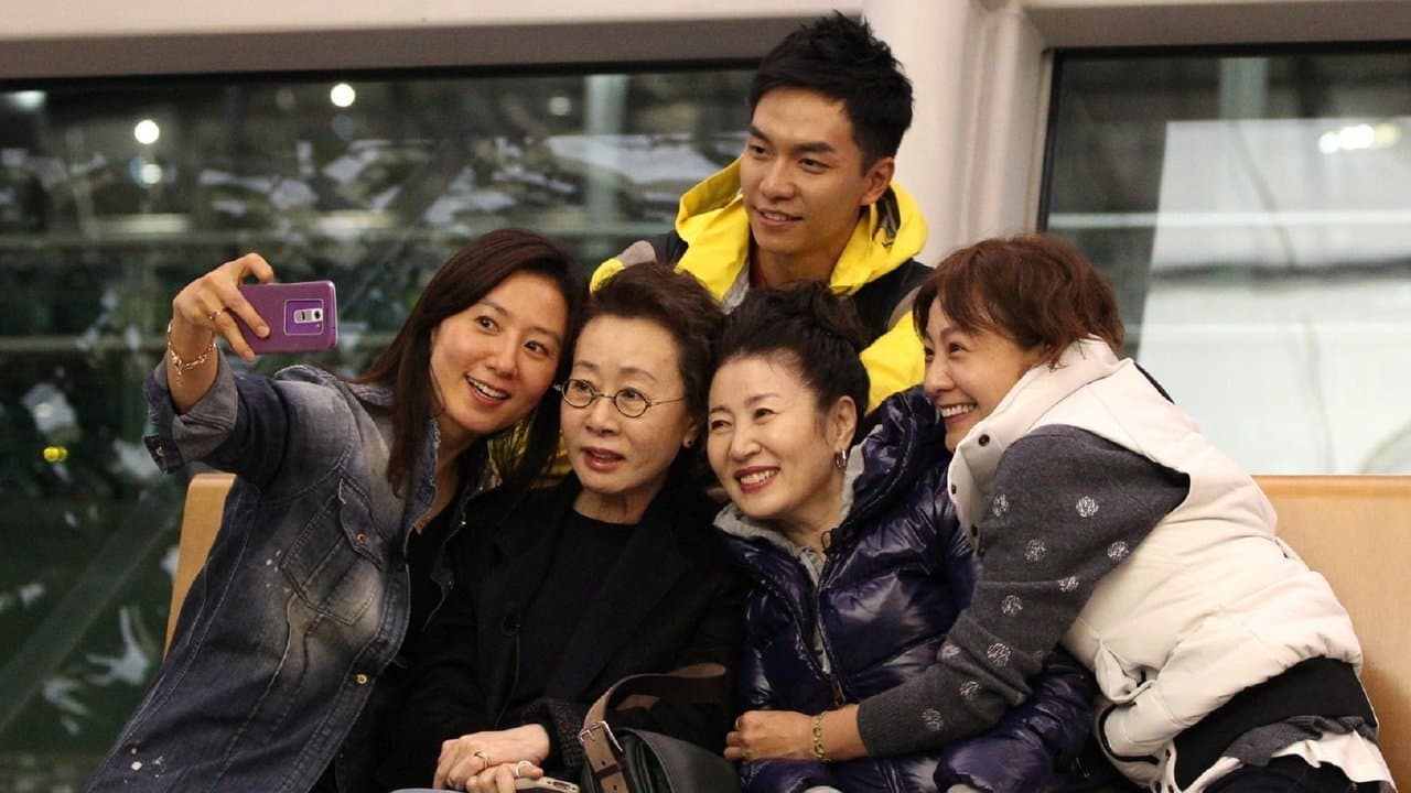 花よりお姉さんの背景画像