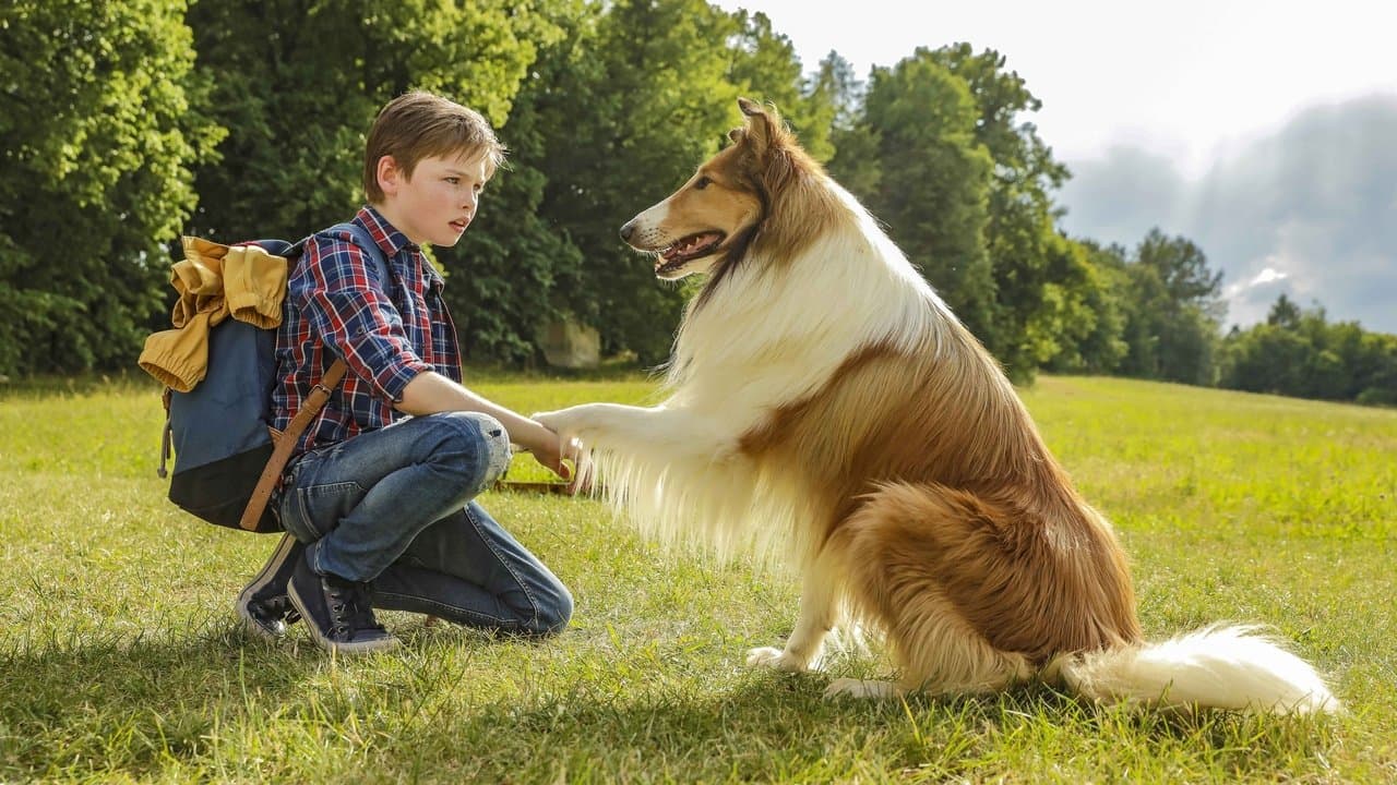 Lassie - Eine abenteuerliche Reiseの背景画像