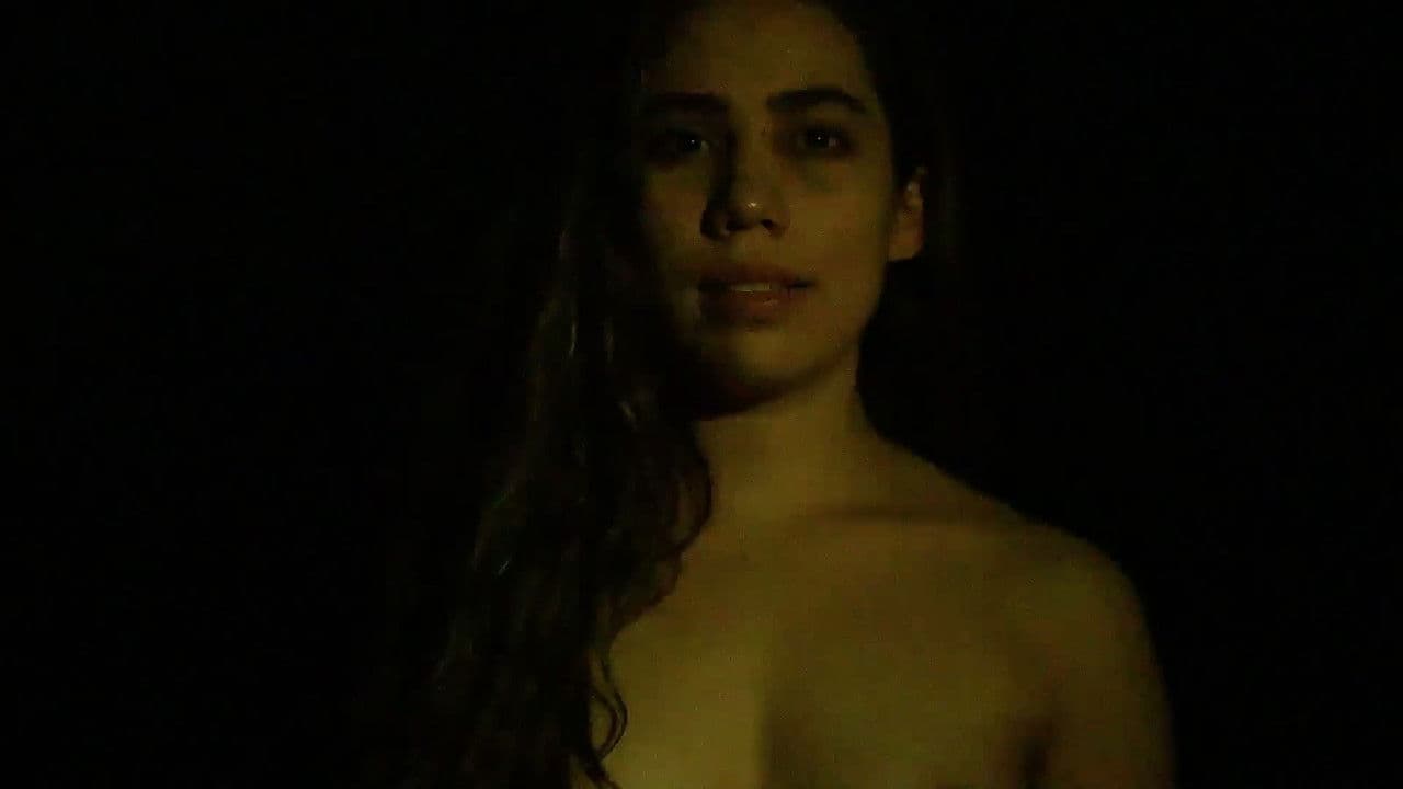 Nocturnoの背景画像