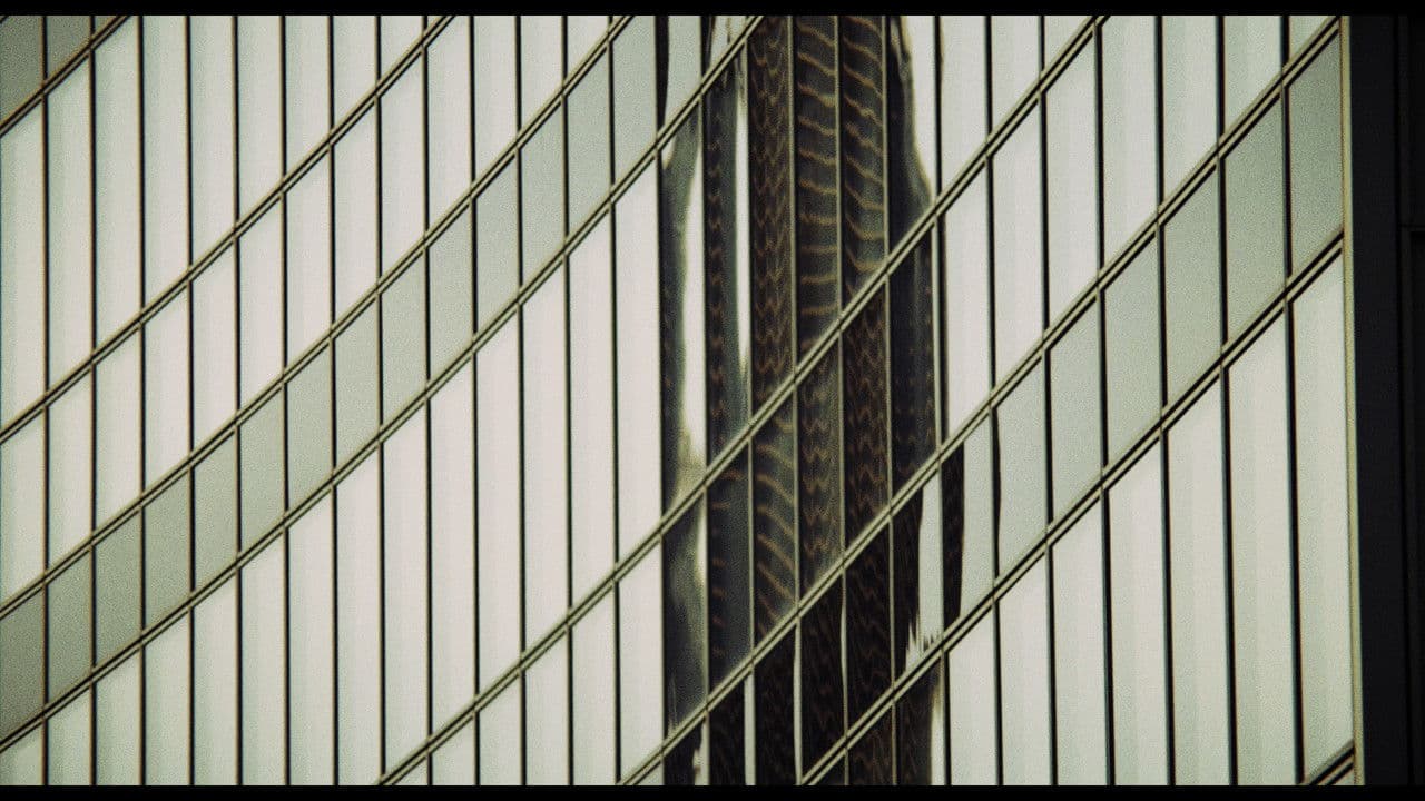 Sans regardの背景画像