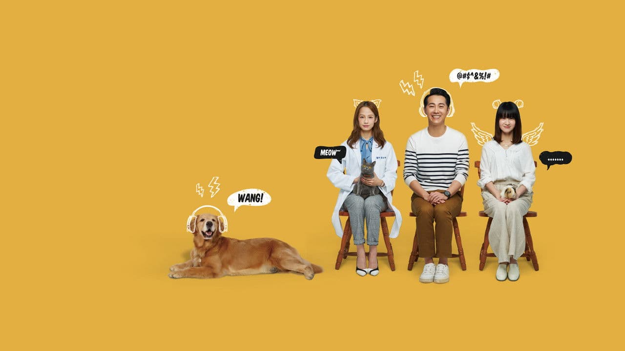 黑喵知情の背景画像