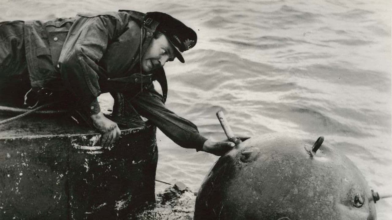 Above Us the Wavesの背景画像