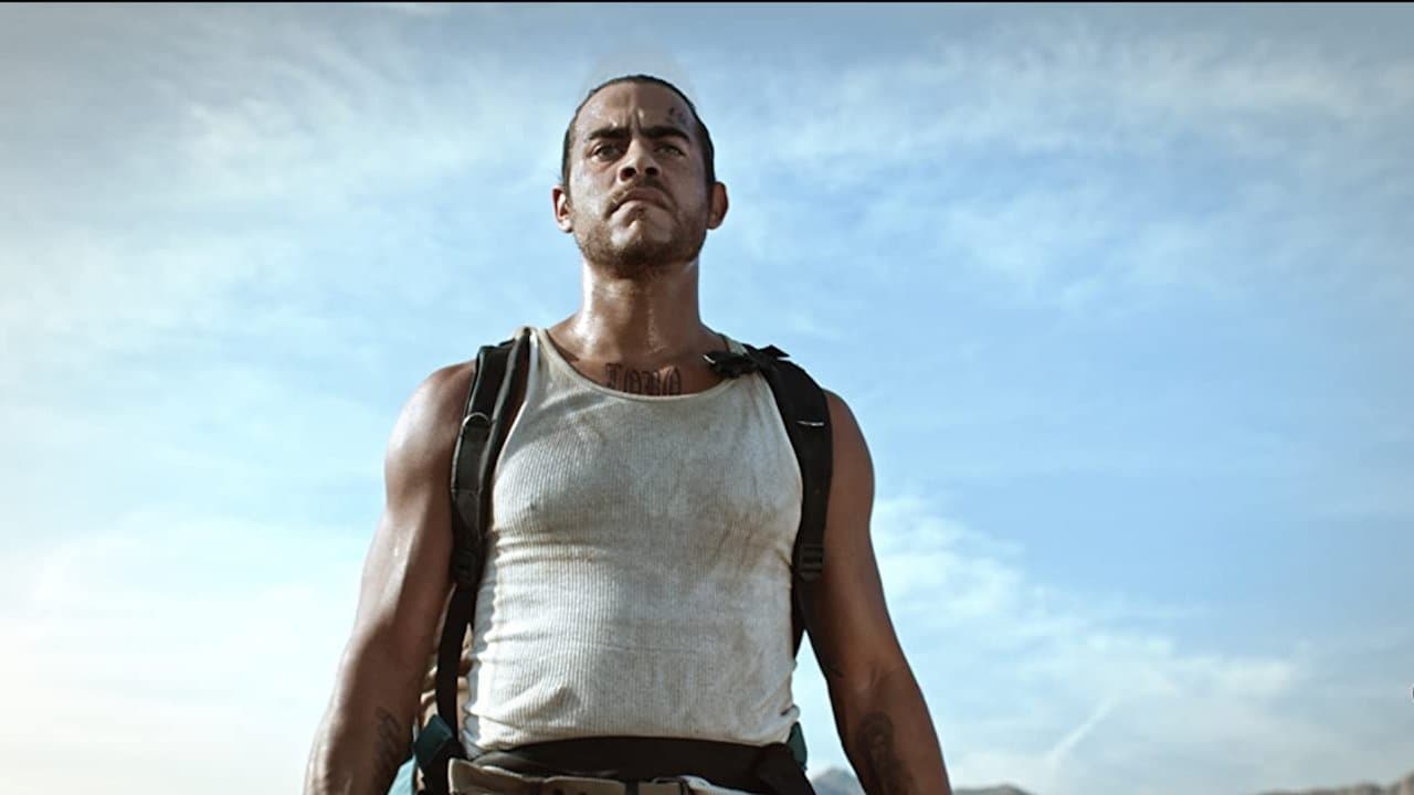 Coyotajeの背景画像