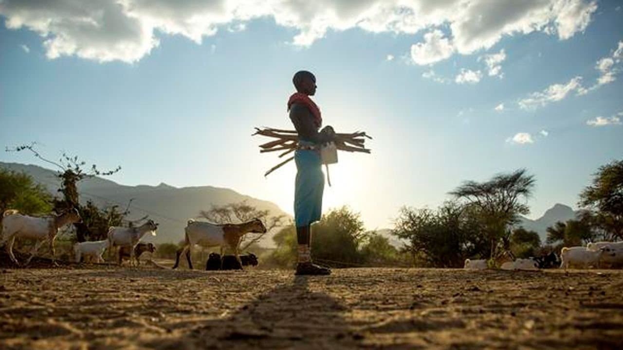 My Africaの背景画像