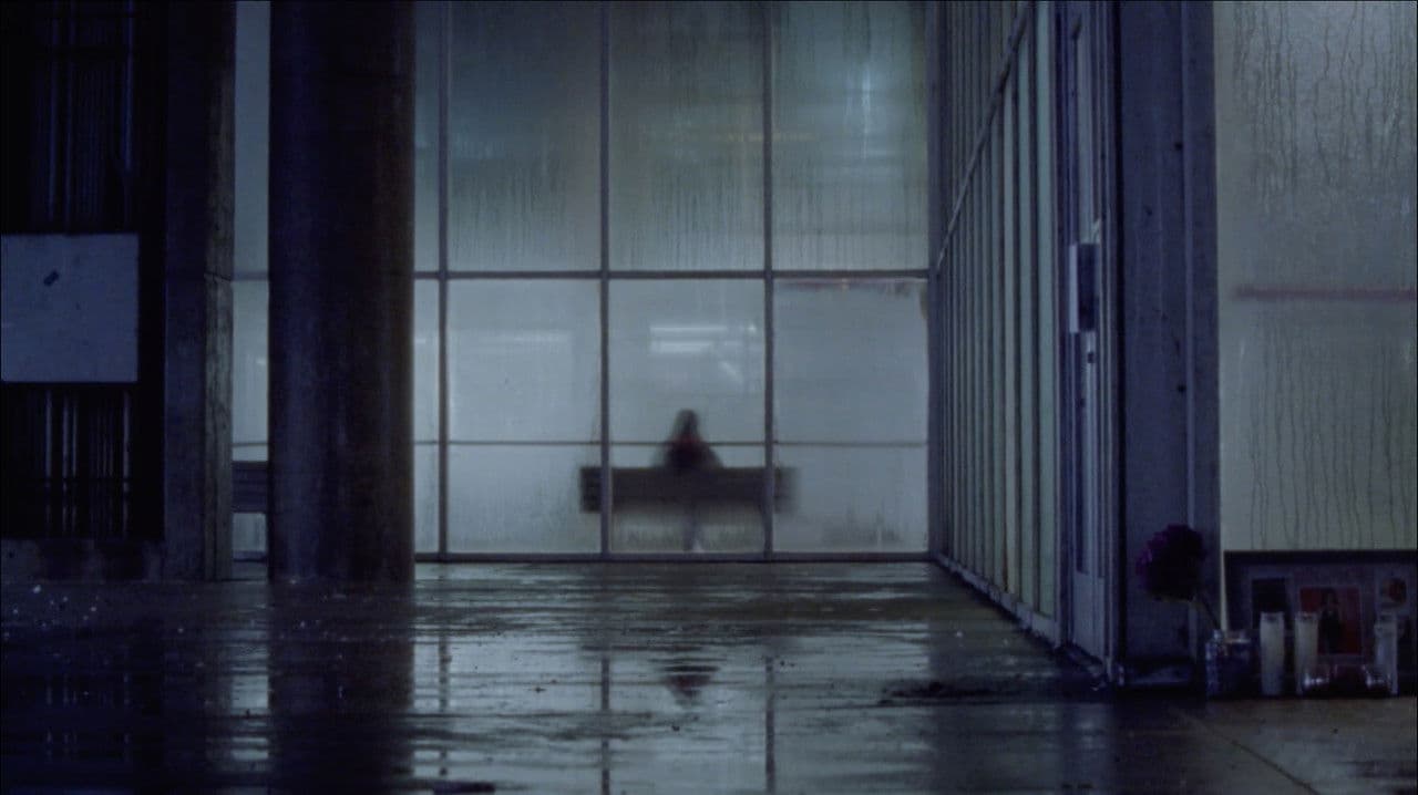 The Park Closes at Sunset.の背景画像