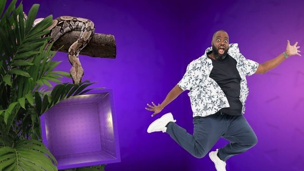 Les 100 vidéos qui ont fait rire le monde entierの背景画像