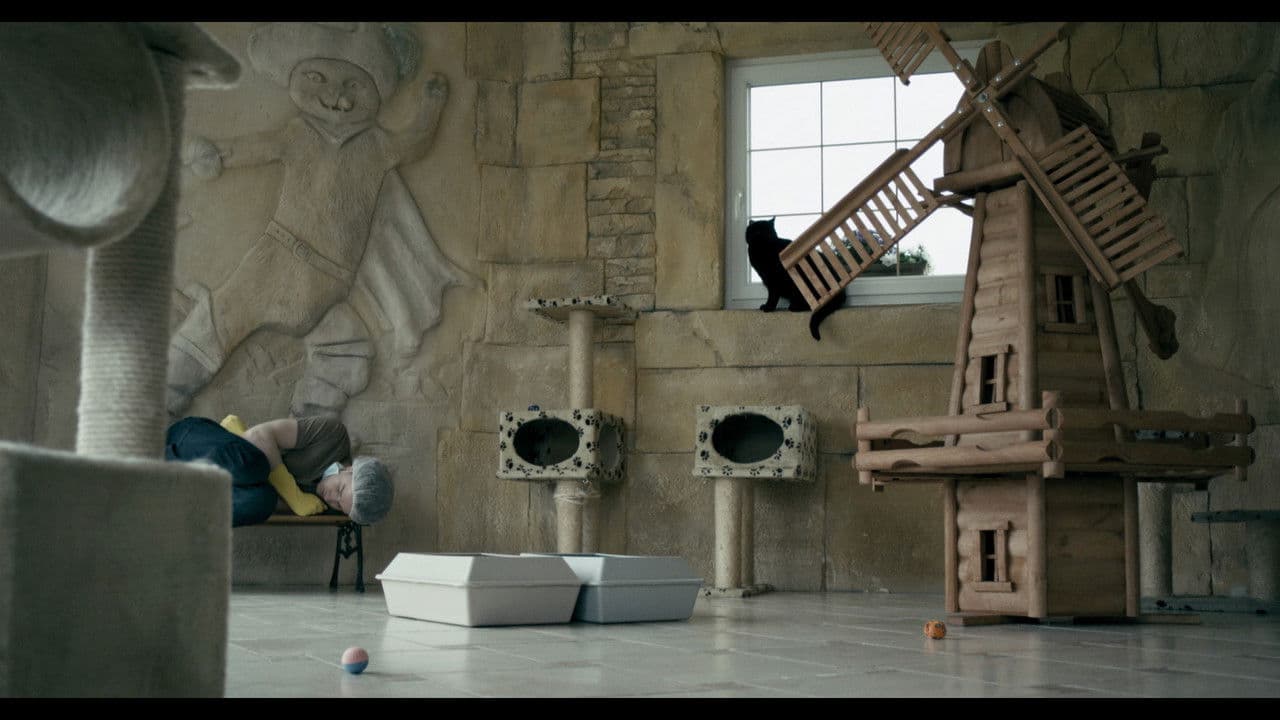 Think Bigの背景画像