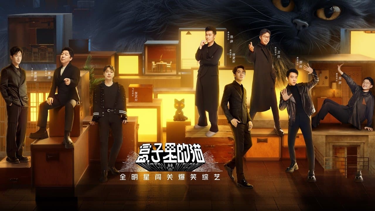 盒子里的猫の背景画像