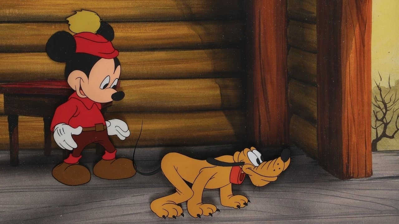 Squatter's Rightsの背景画像